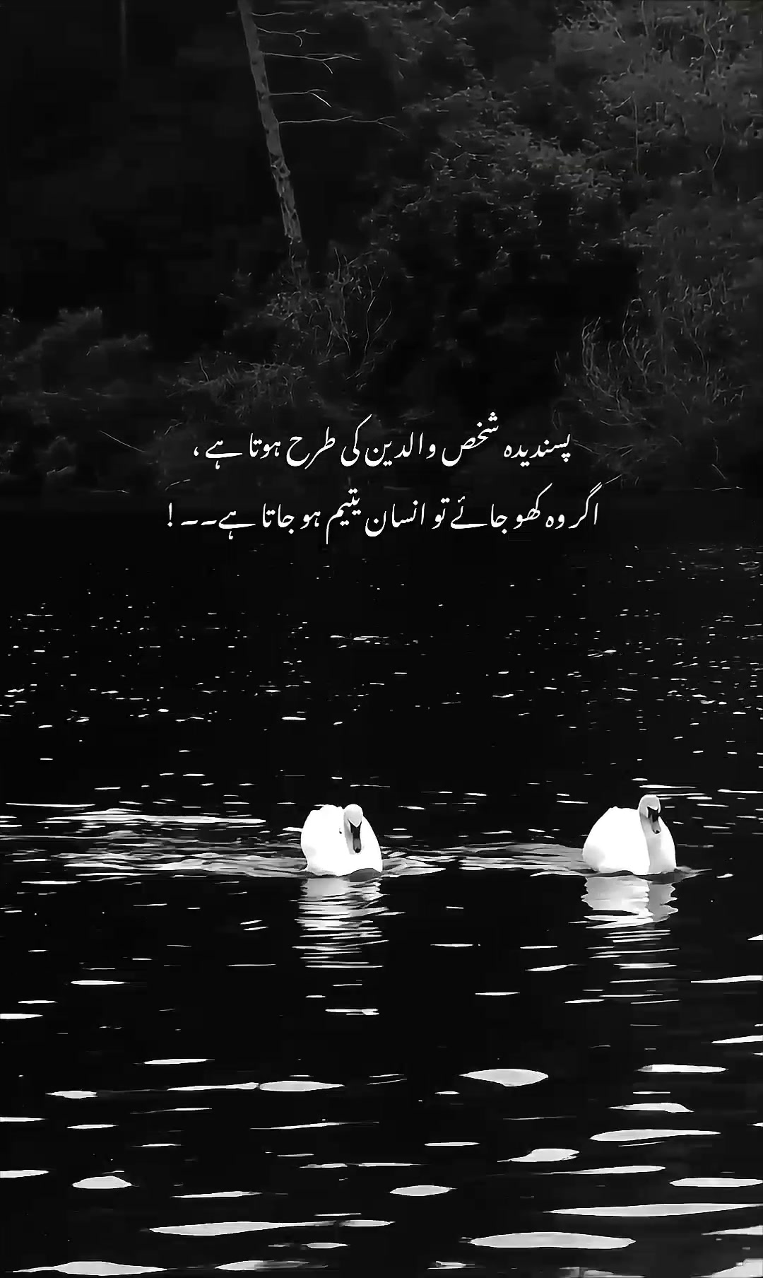@ᥫ᭡𝐈𝐒𝐇𝐔⏤͟͟͞͞🦢🌷