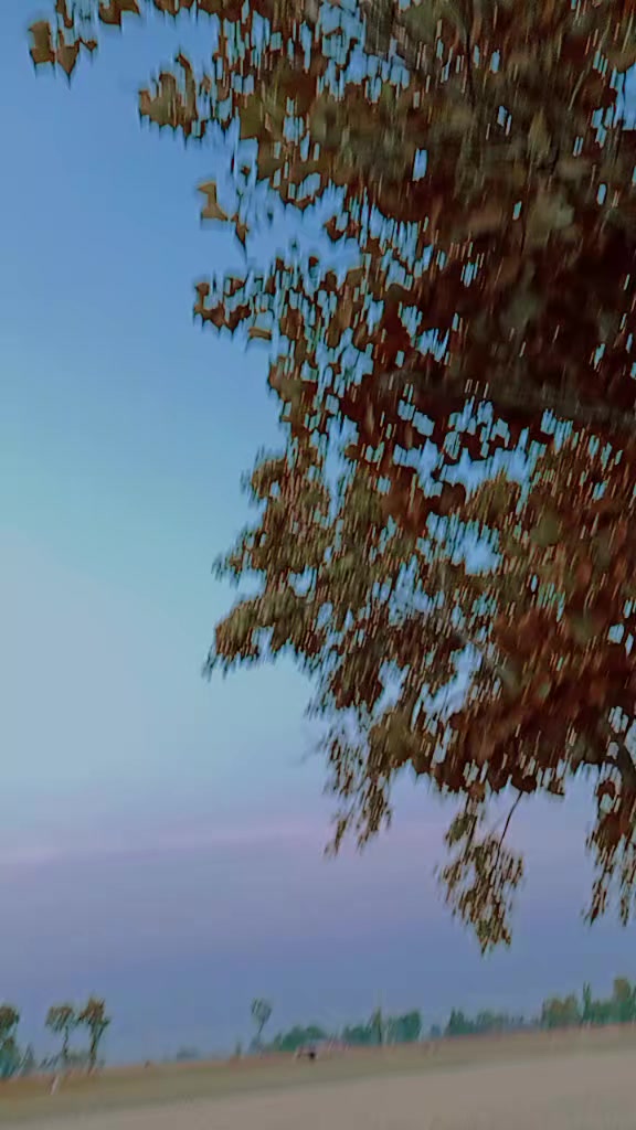 @aqib ali