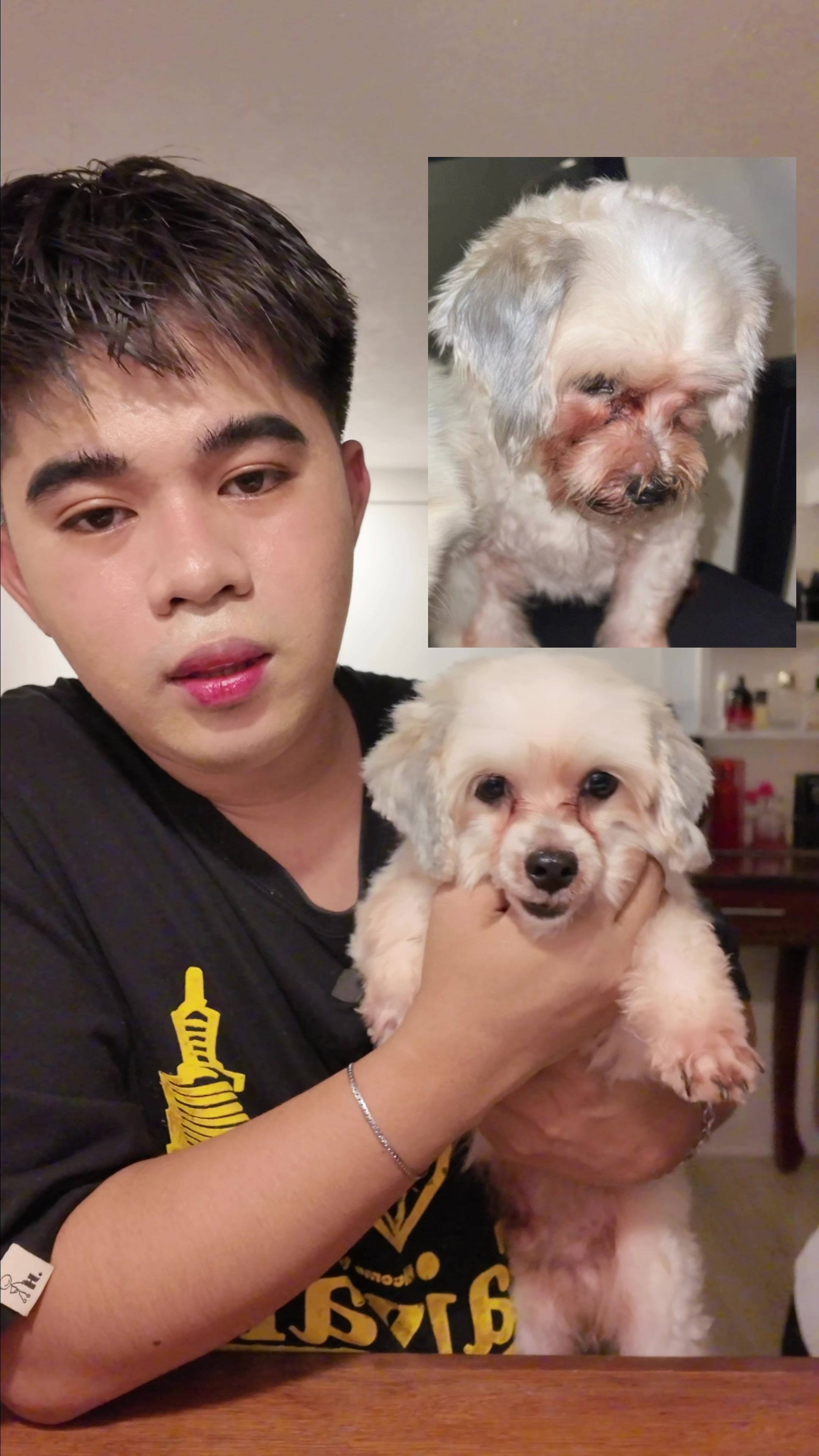 @jievoy
