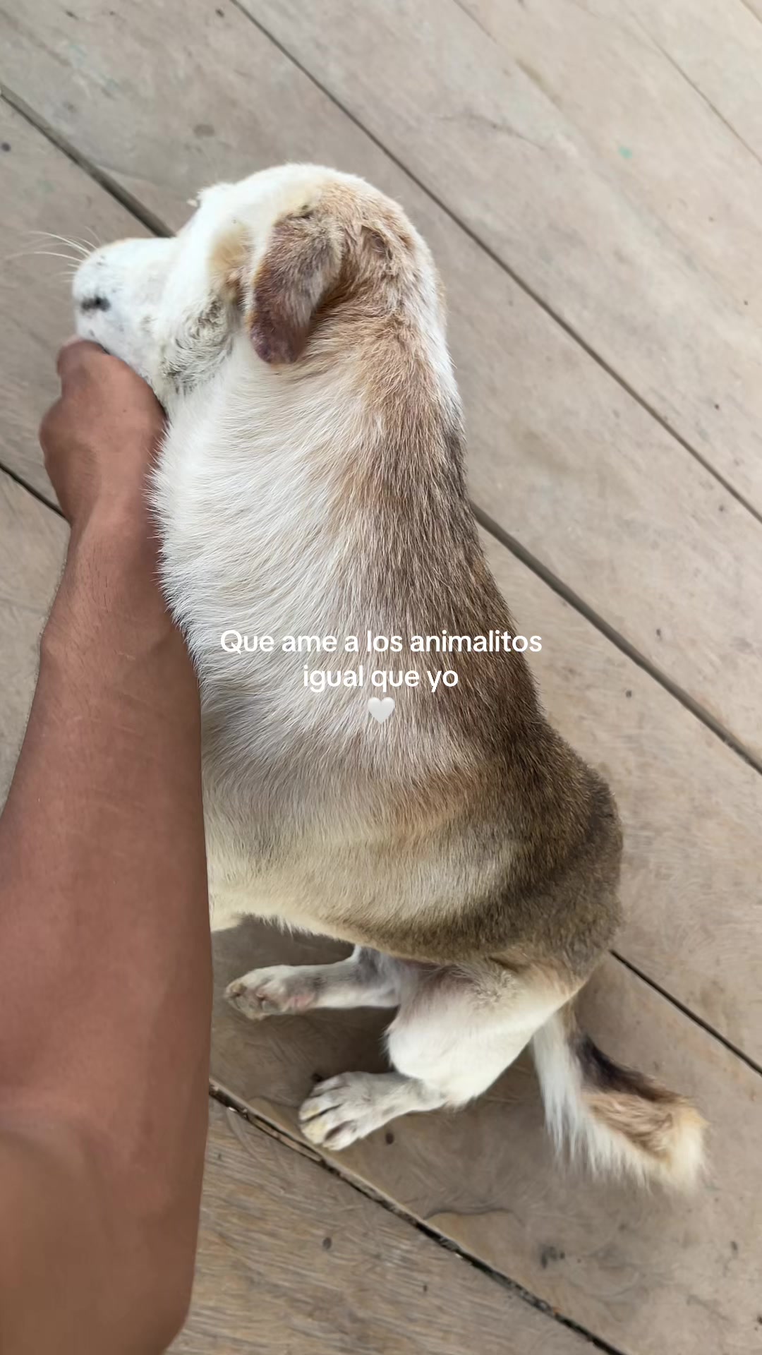 @Renzo Ramirez