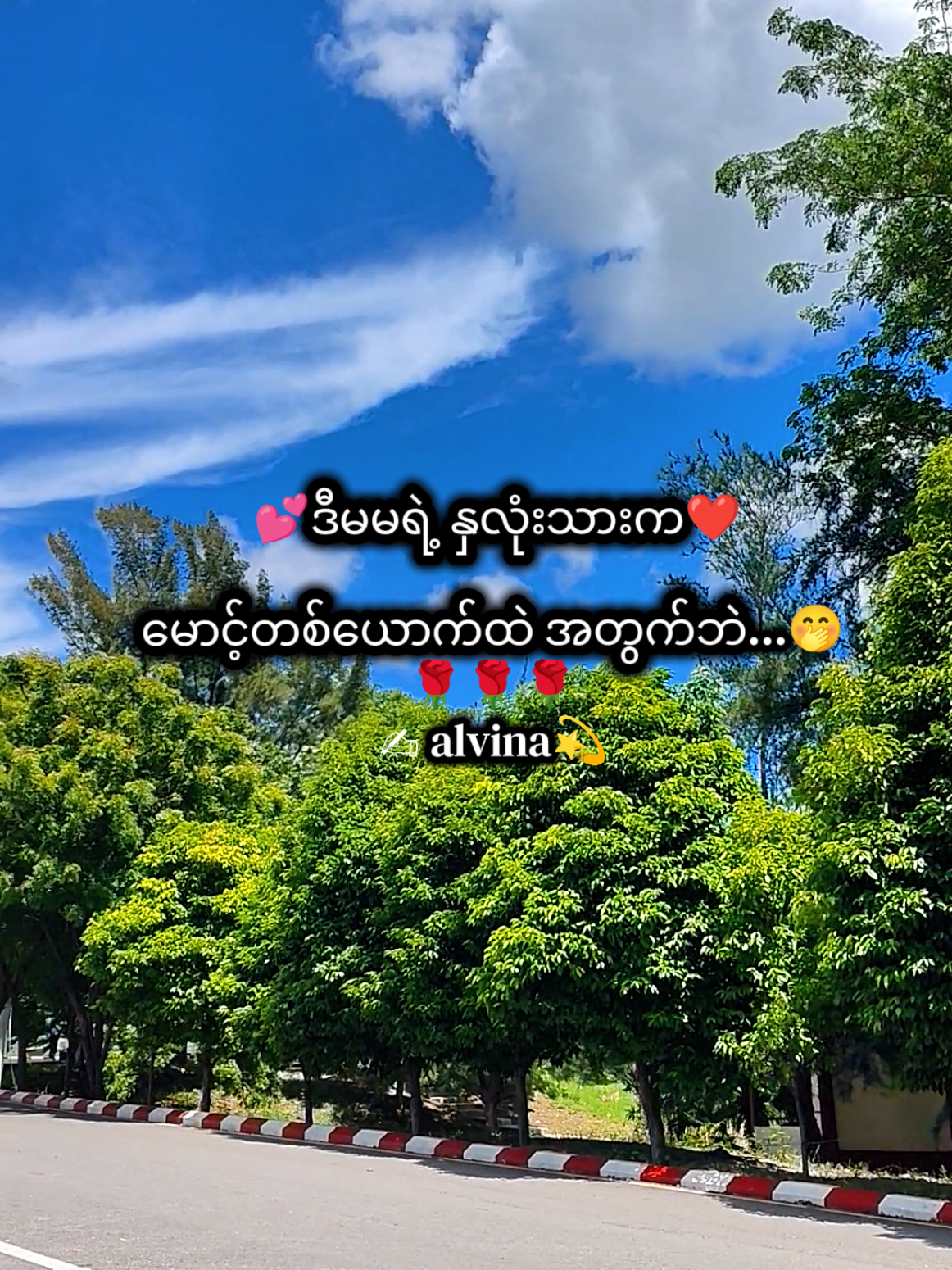 @🇯🇵 Alvina💫(အယ်ဗီနာ)💫🇯🇵