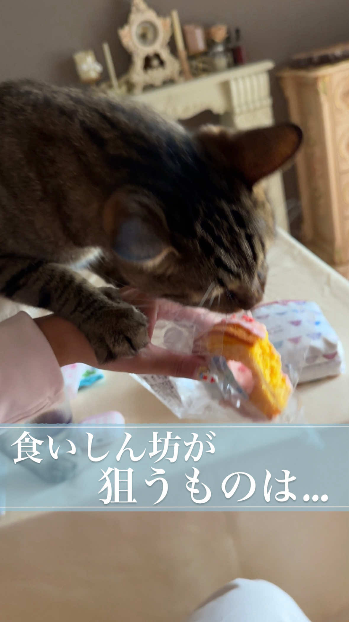 @さっことおちょ