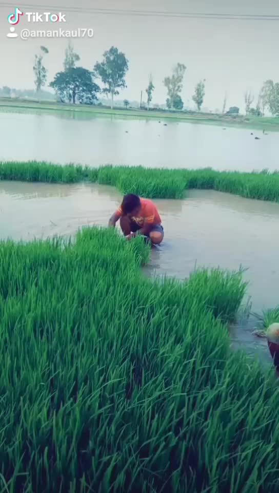 @Aman Kaul