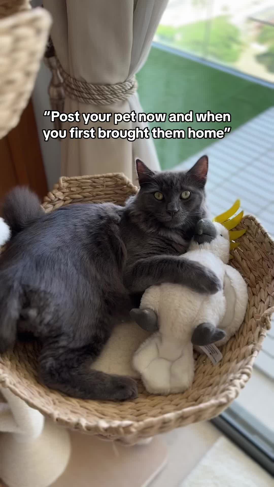 @ori