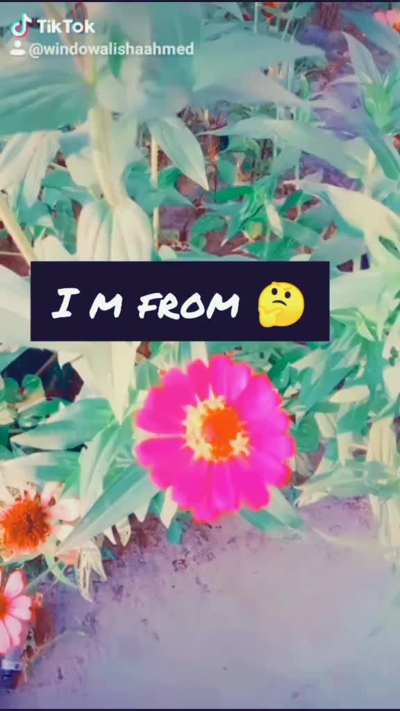 @AlishaAhmed
