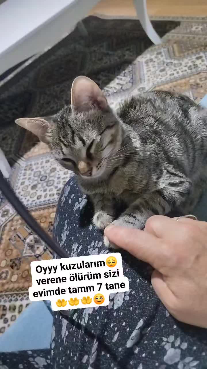 @Fatoş4040