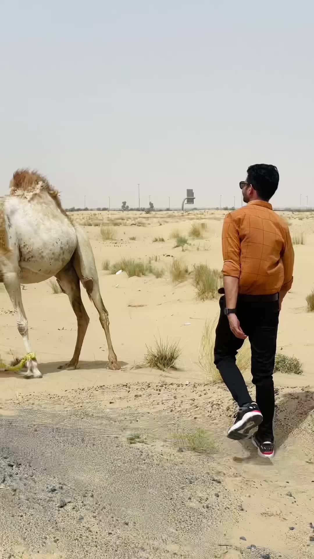 @Subahani Haneefa