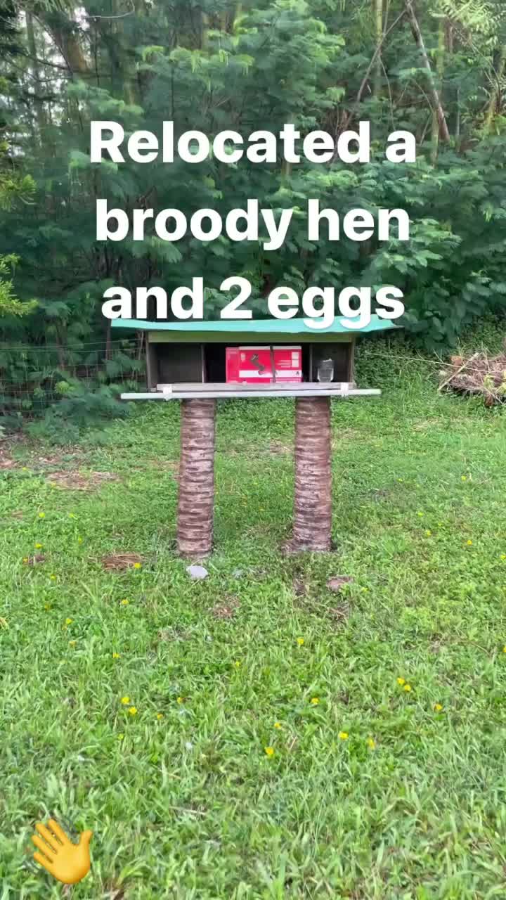 @kumuainafarms