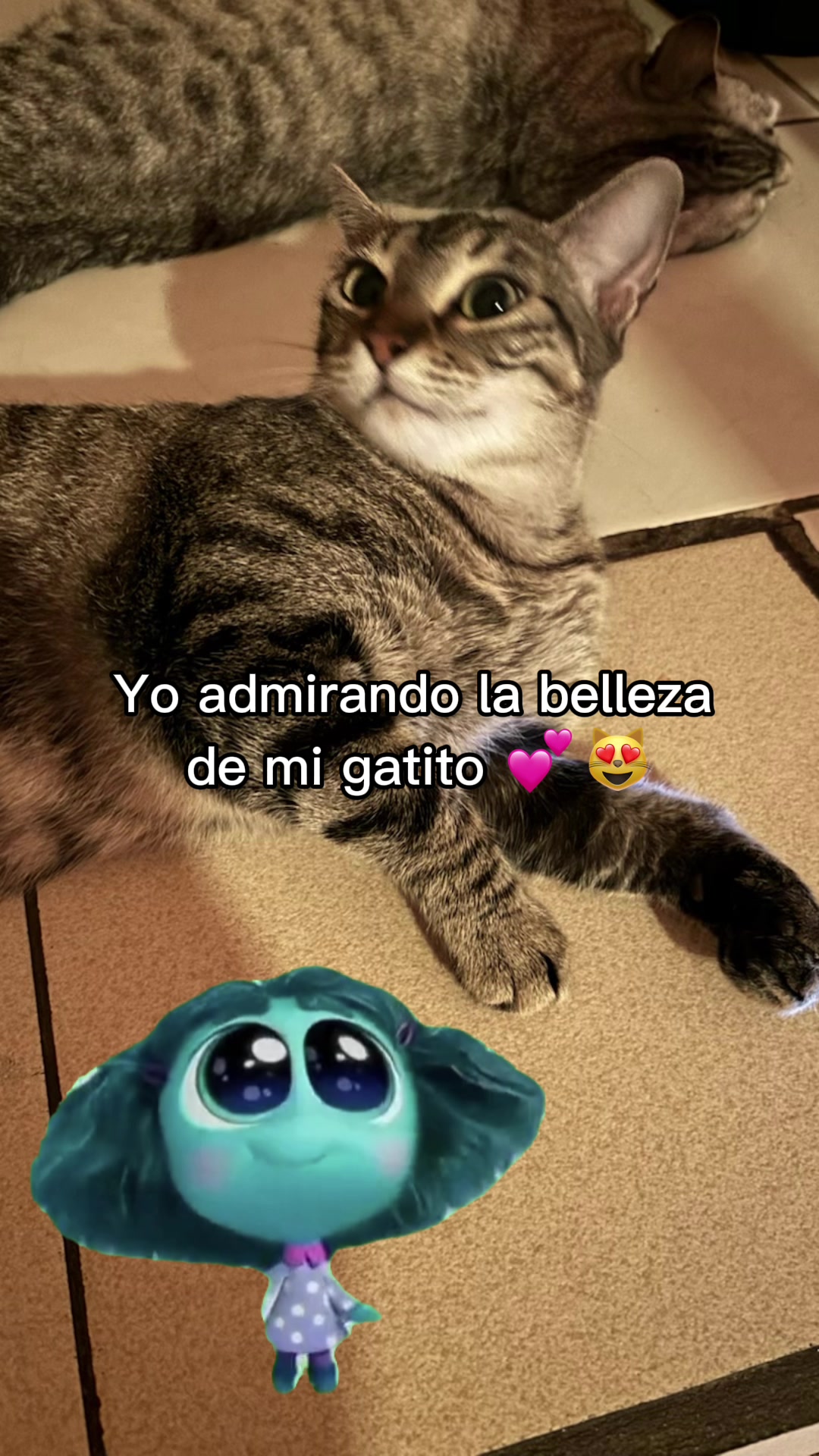 @El Michii