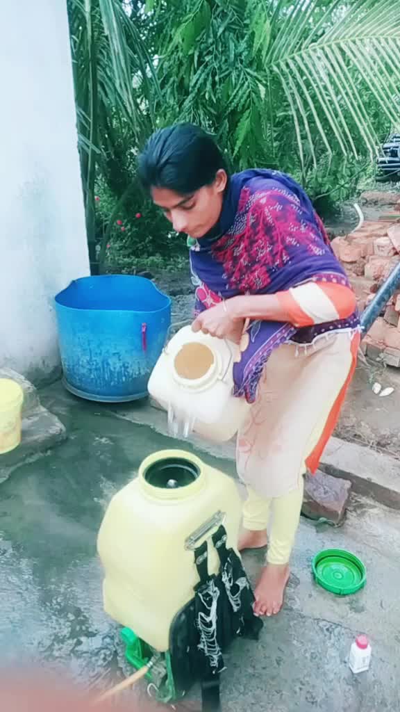@bhai bahan