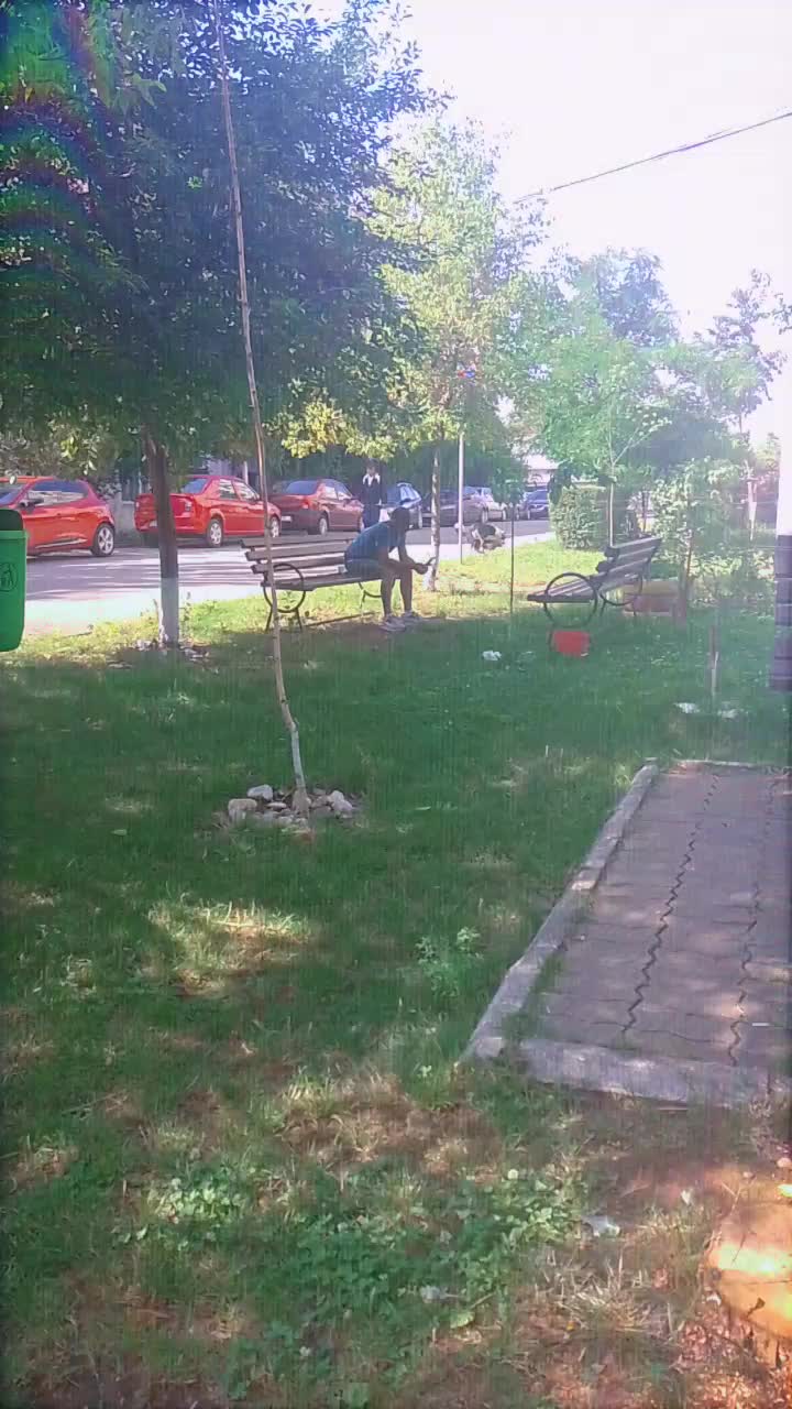 @Tanase Fernado