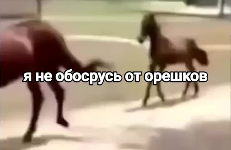 @Постирония от Артёмки 😉