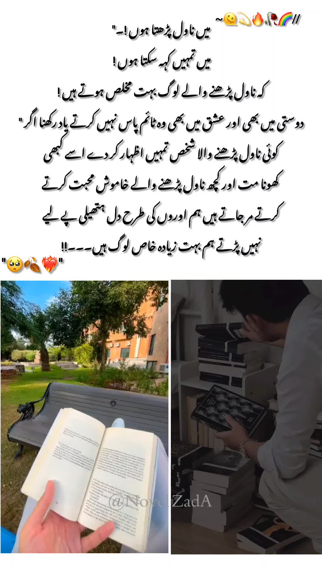 @𝗡𝗼𝘃𝗲𝗹 𝗭𝗮𝗱𝗱𝗮 ᥫ᭡