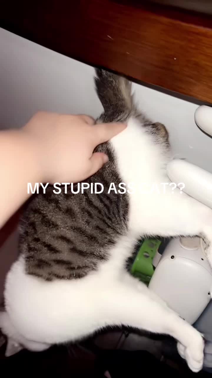 @K