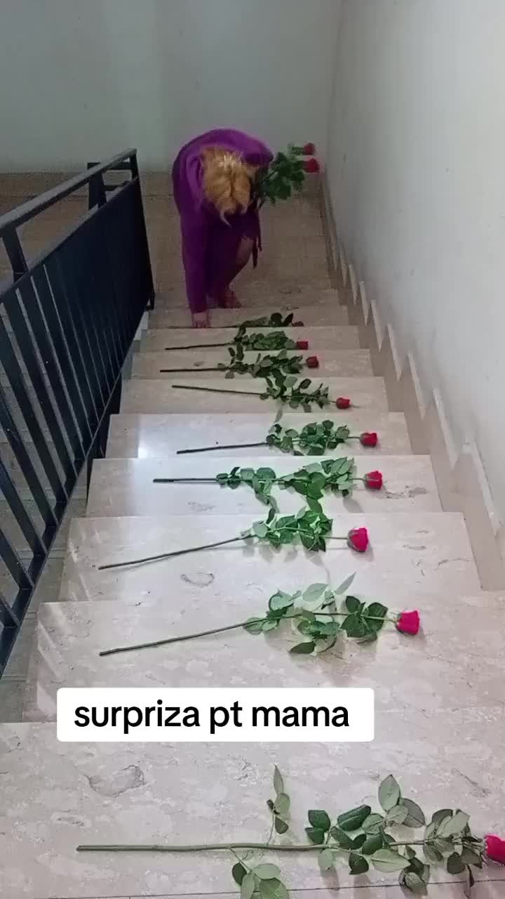 @elena