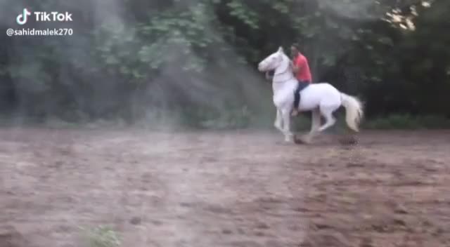 @🏇Sonu rider🏇