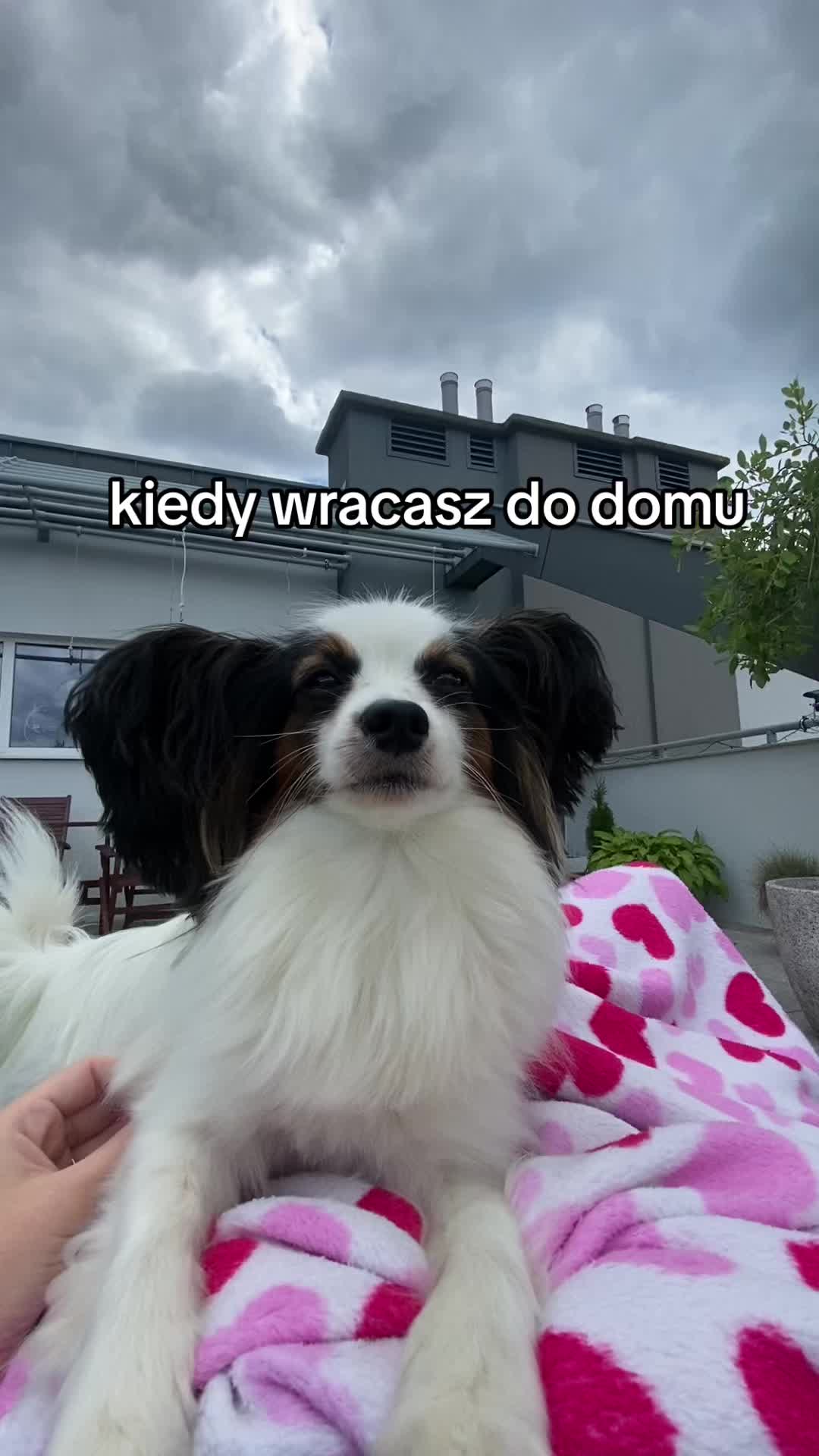 @Martyś 🥳