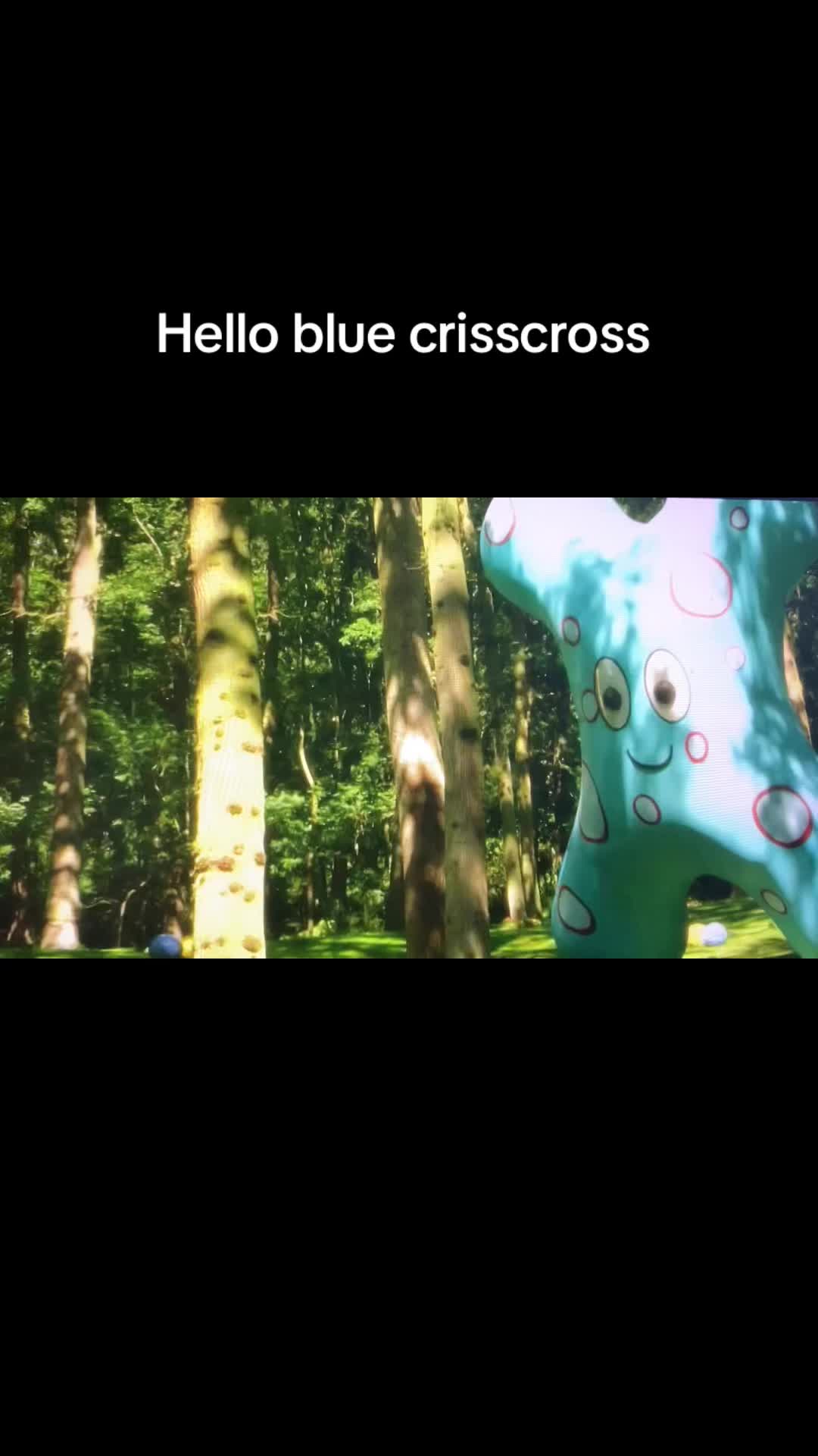 @theplushieking