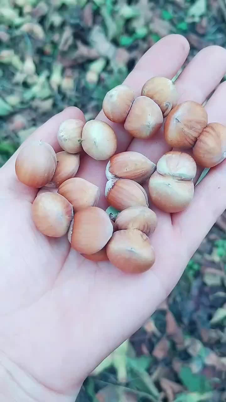 @Karadeniz kızı 5234