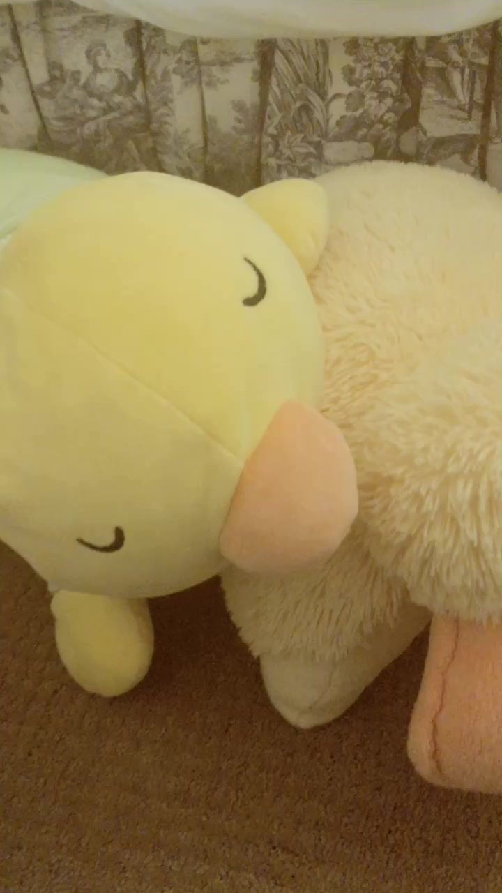 @Duck