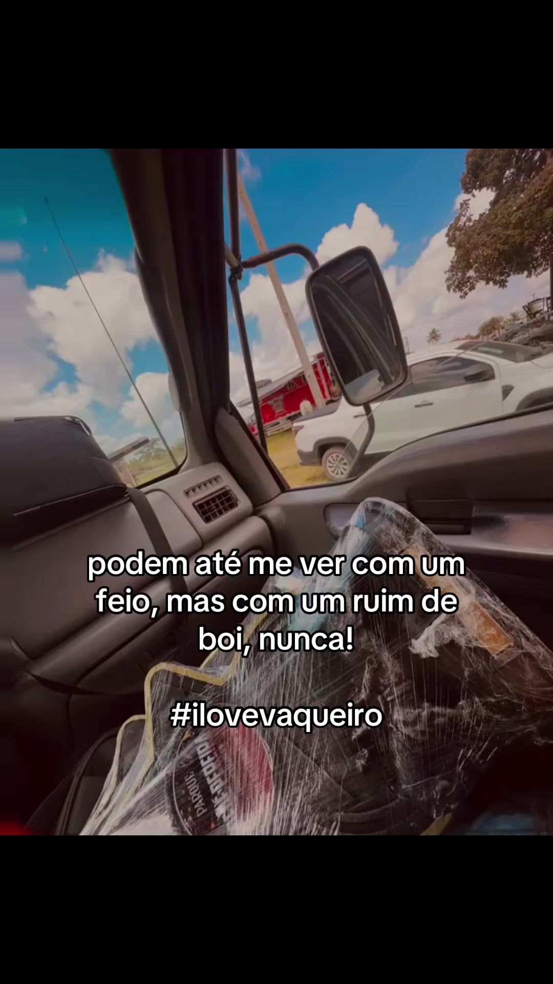 @Vivi Correia