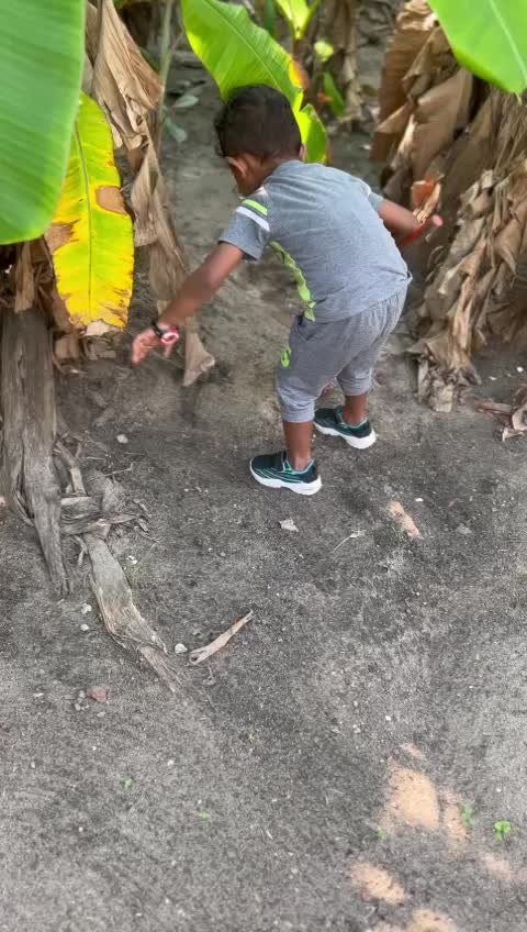 @shameer3334