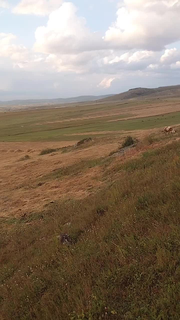 @erhan75