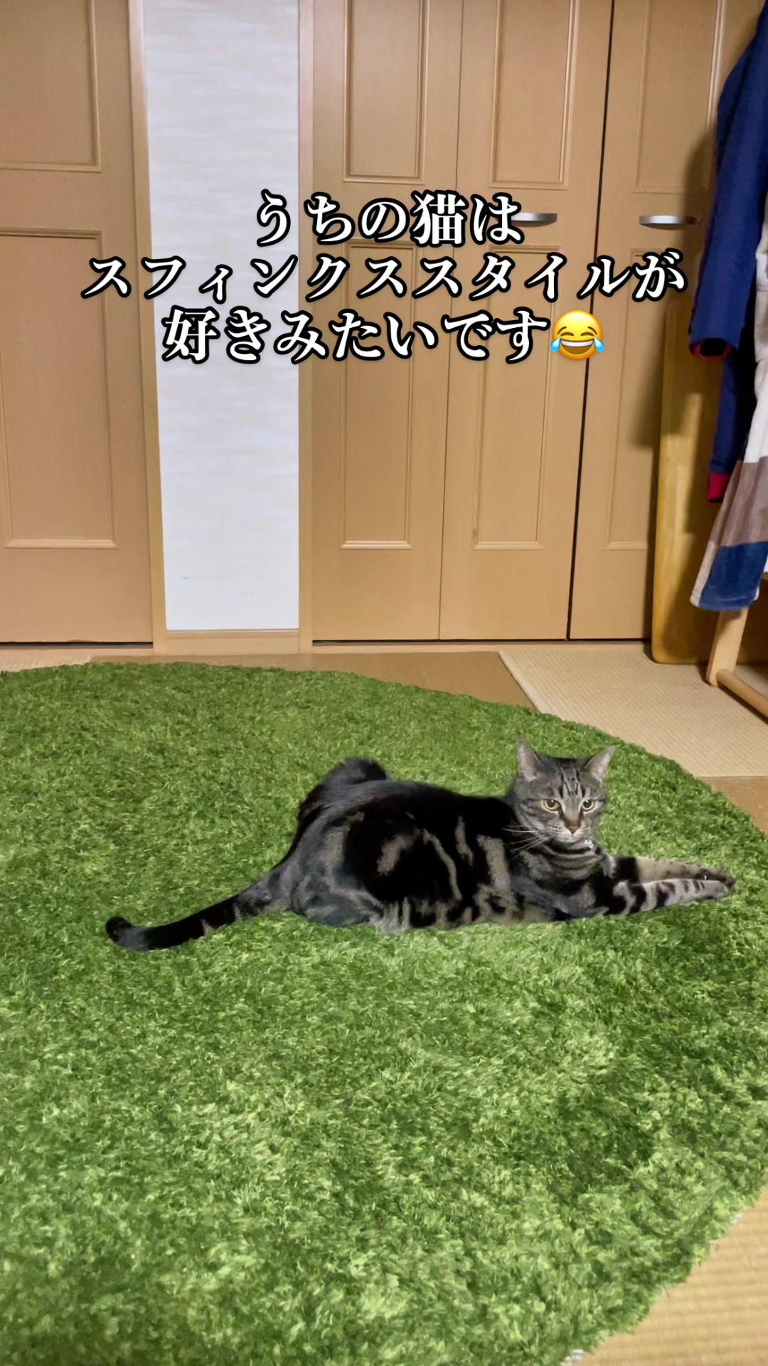 @バギー