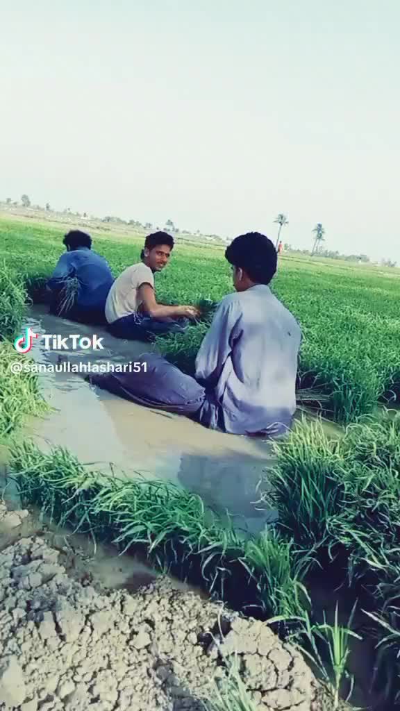 @mujhaid