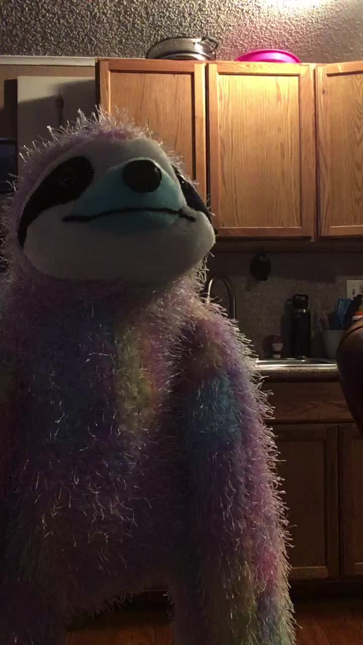 @EpicSloth