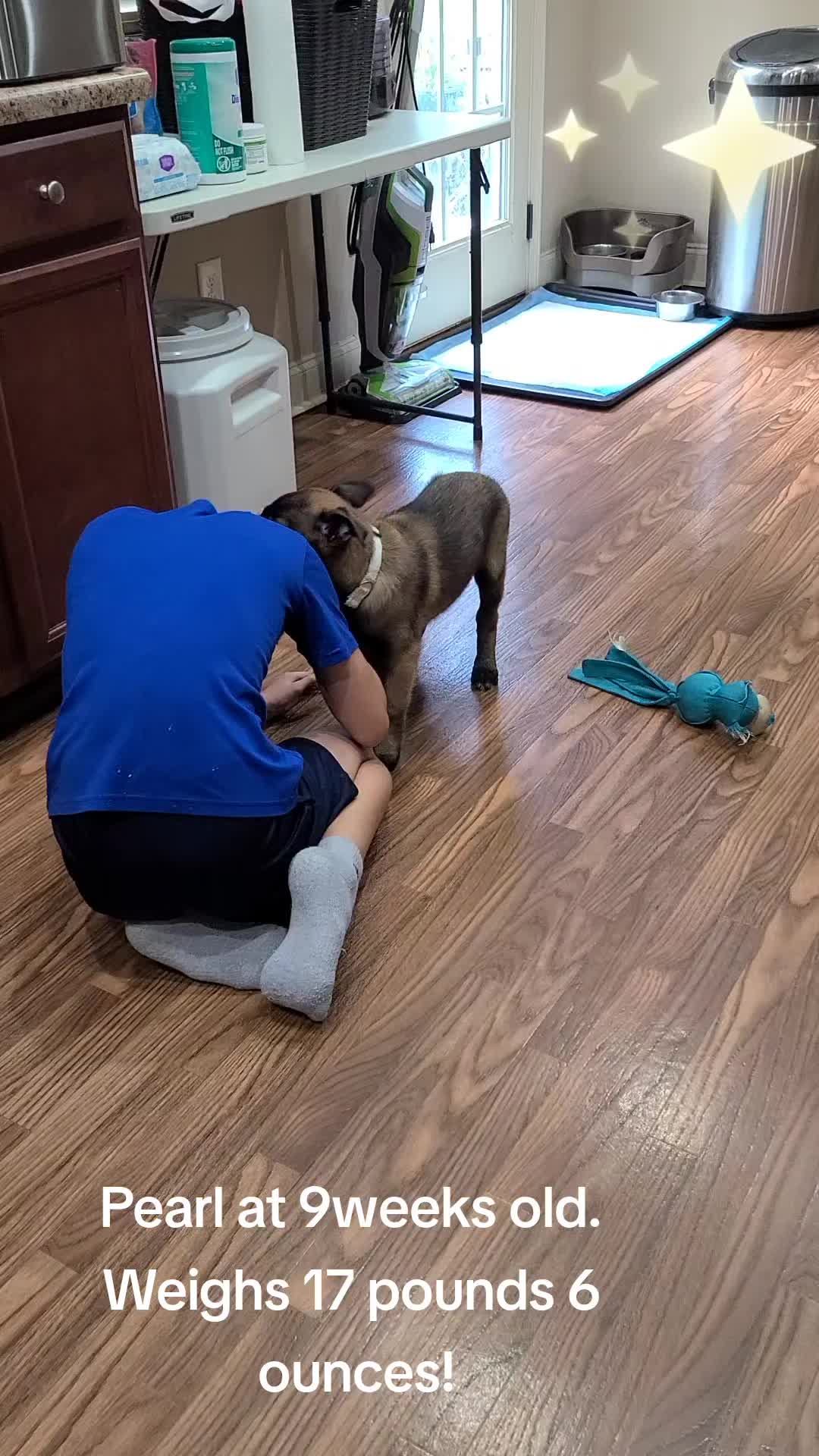 @My Mali Zelda