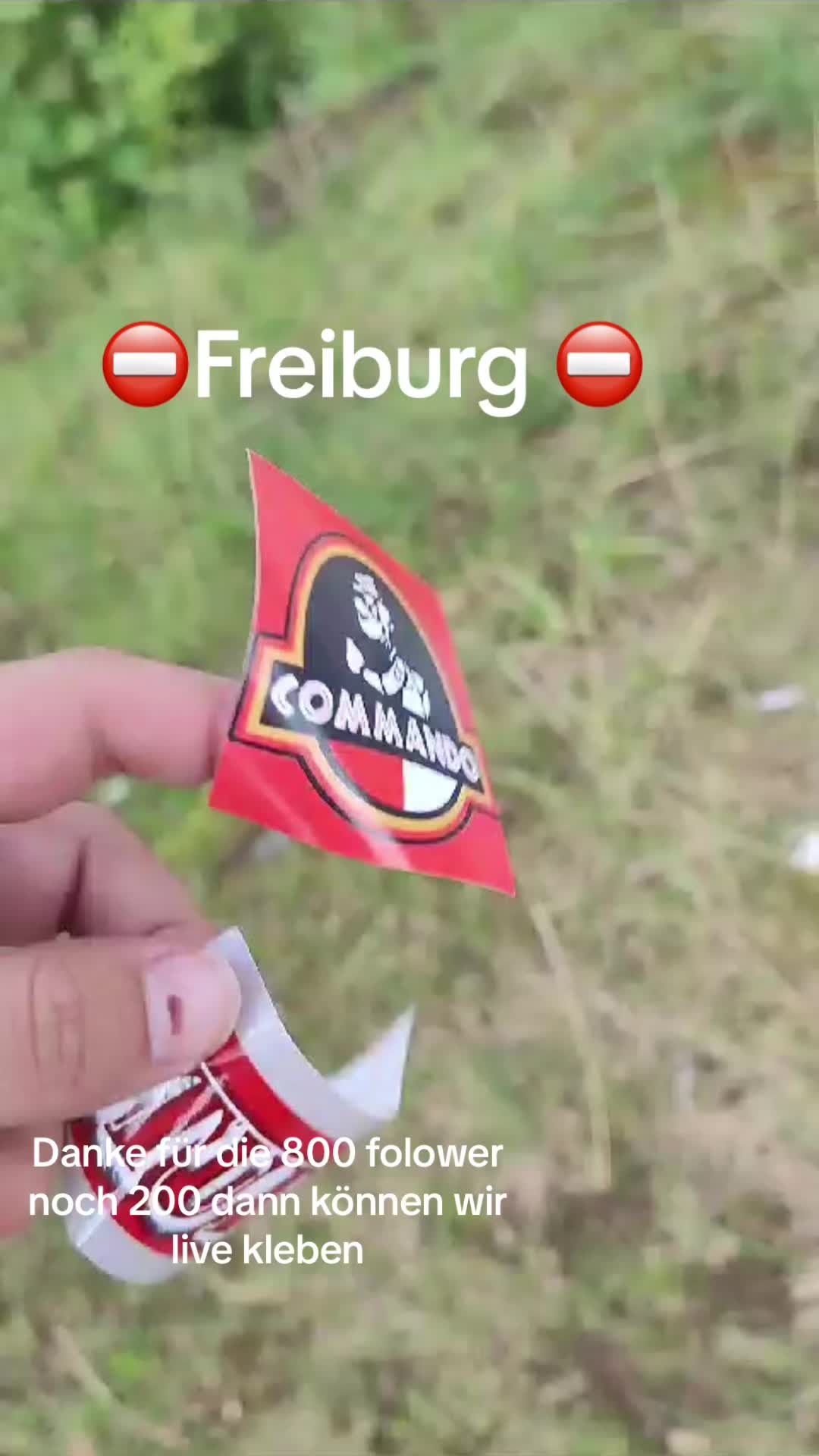 @vfbklebt