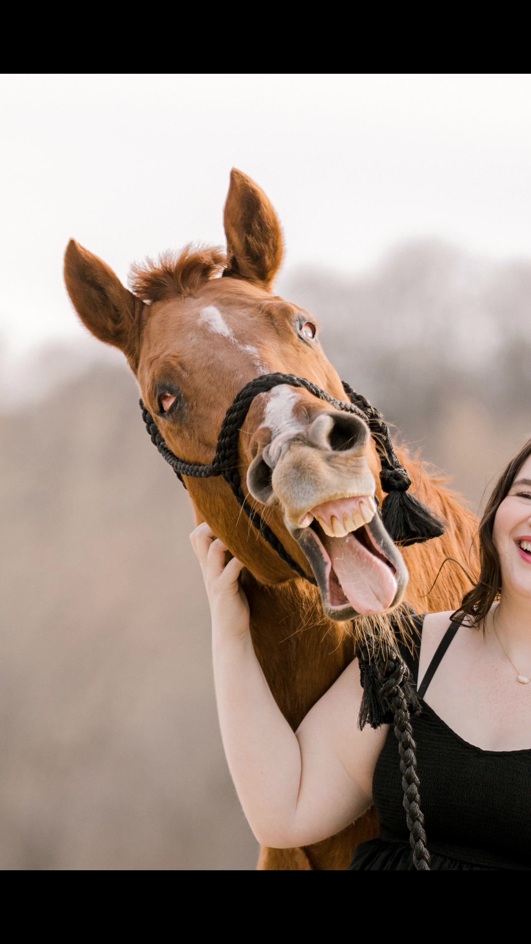 @Rachel ⚡️ Equine Photographer