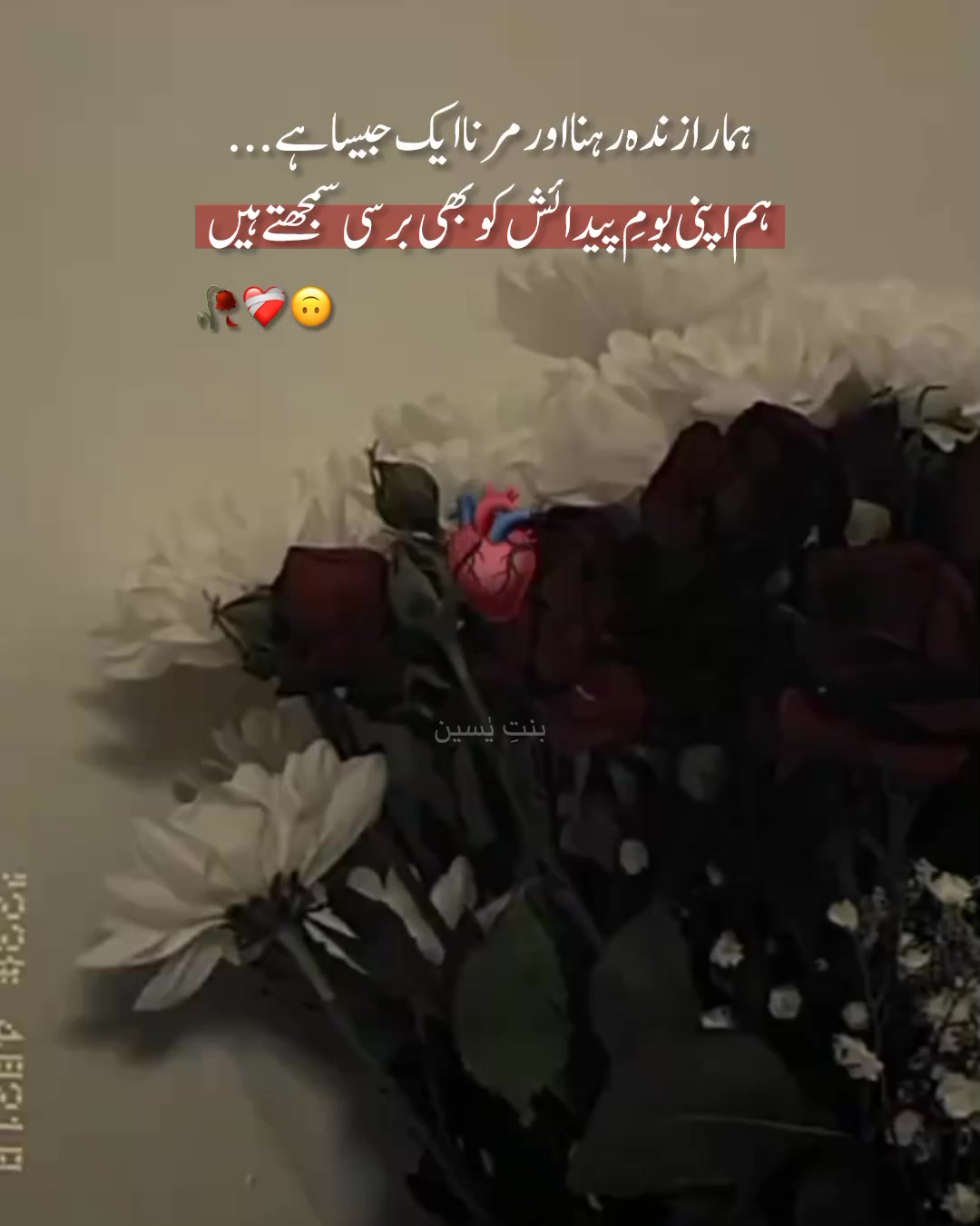 @𝟏𝟐 𝑴𝒂𝒓𝒄𝒉 ❤️🩹