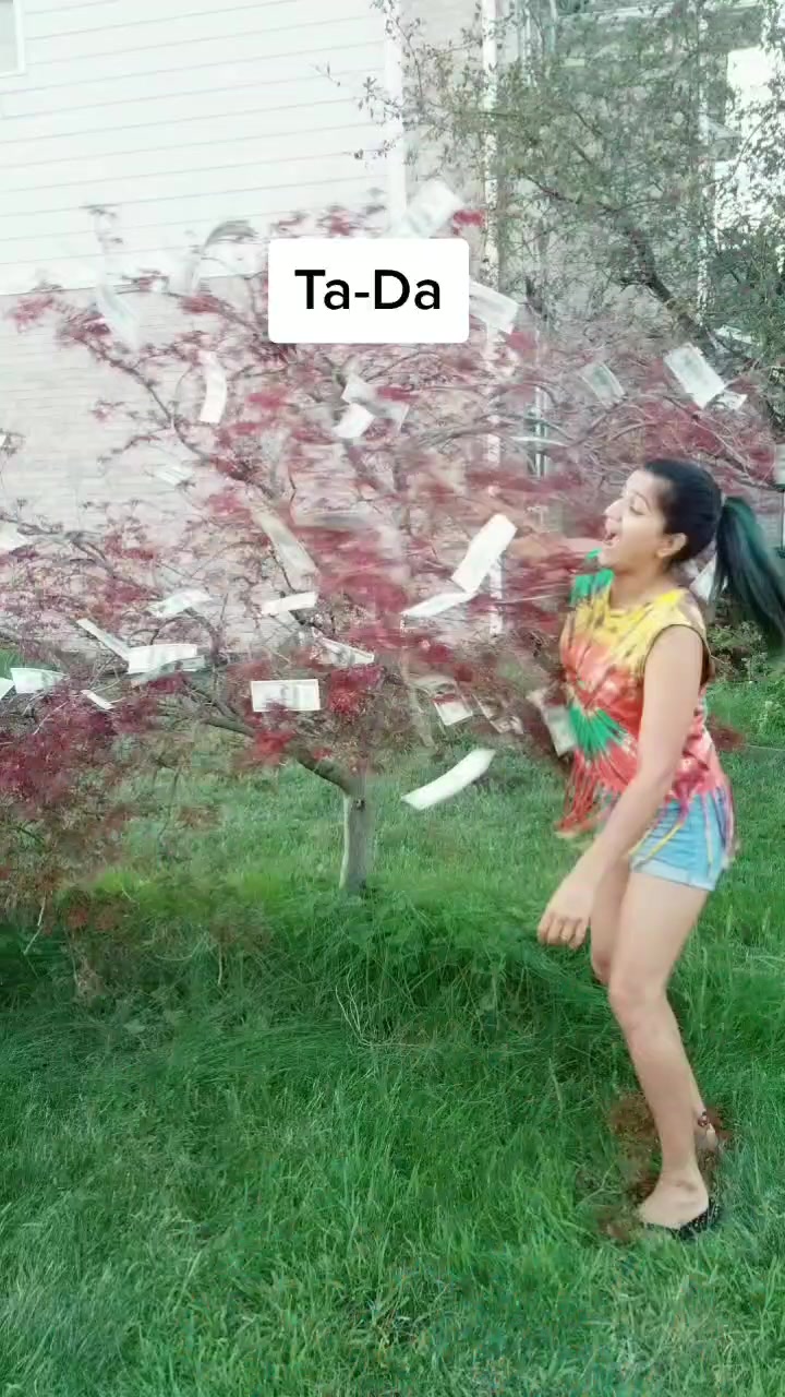 @chezpiddu