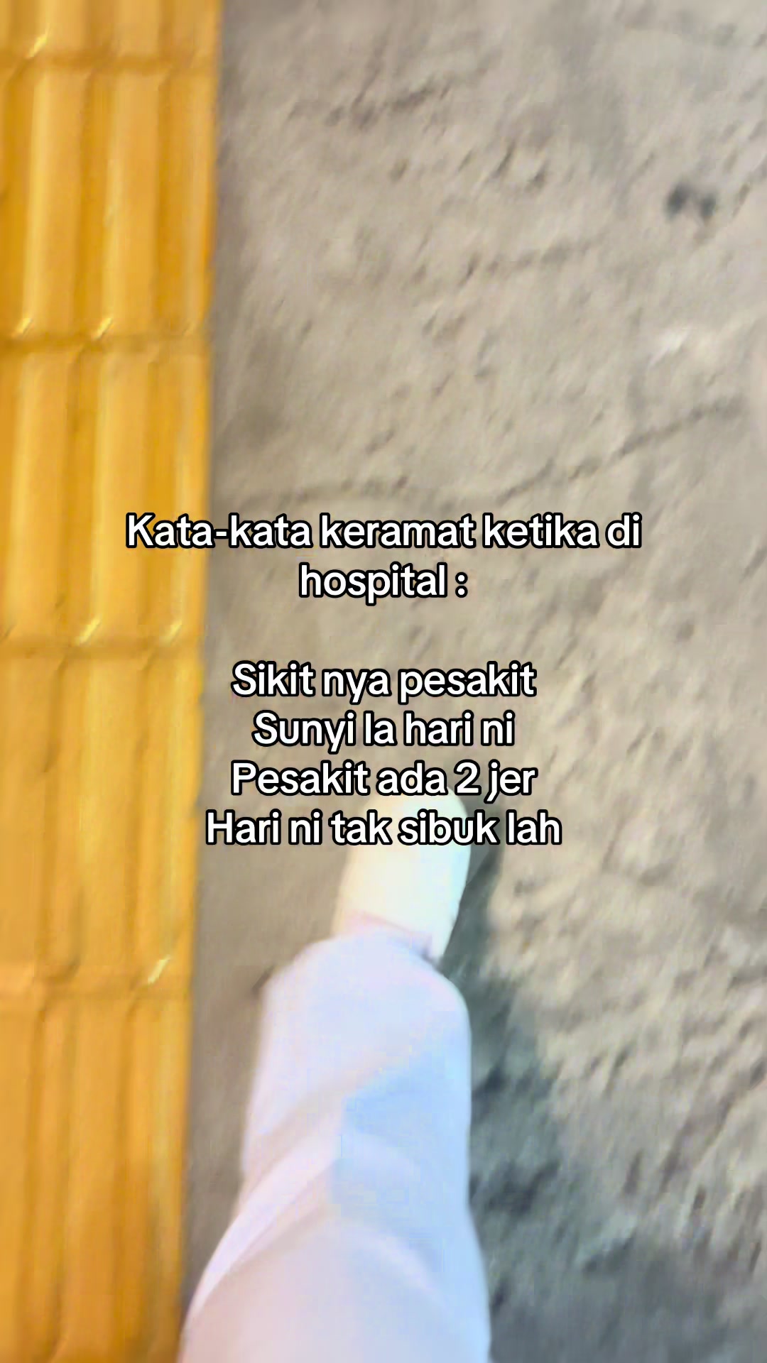 @🐚ms