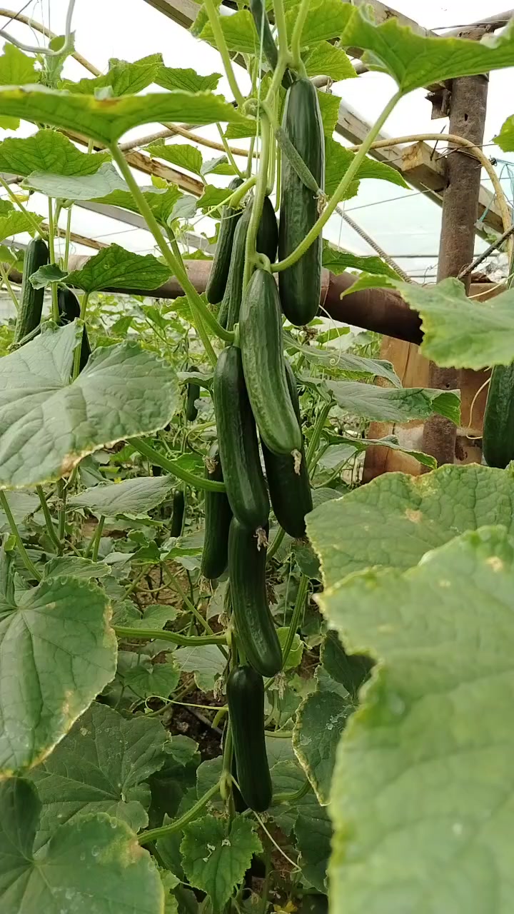 @Receb 05 05