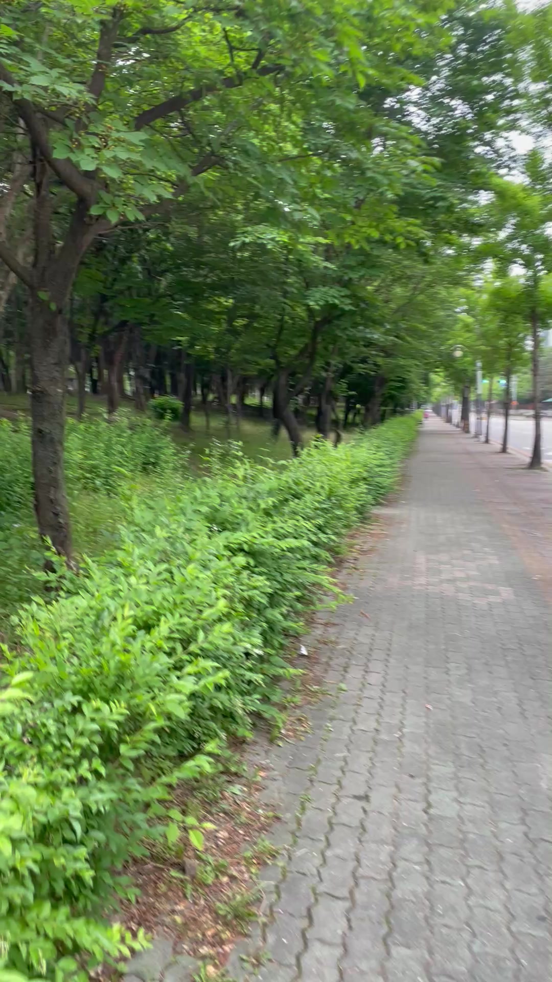 @앞잡이코리아