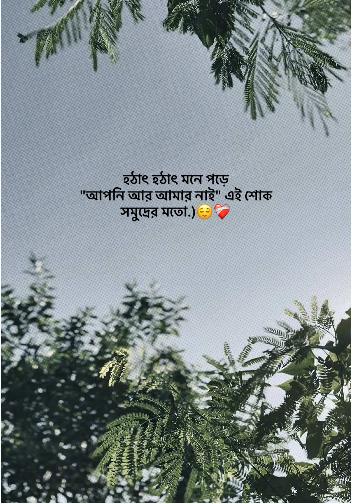 @❏ 𝗔𝗙𝗝𝗔𝗟'🐼
