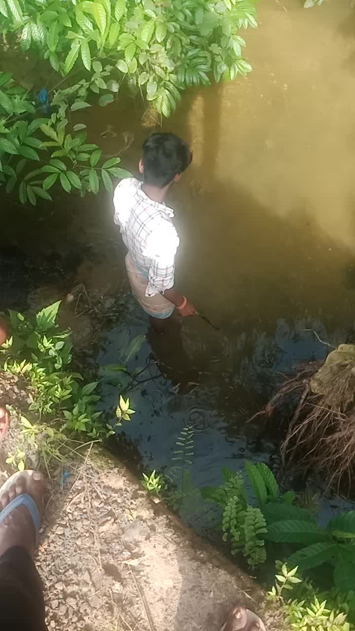 @sunilparjapati913