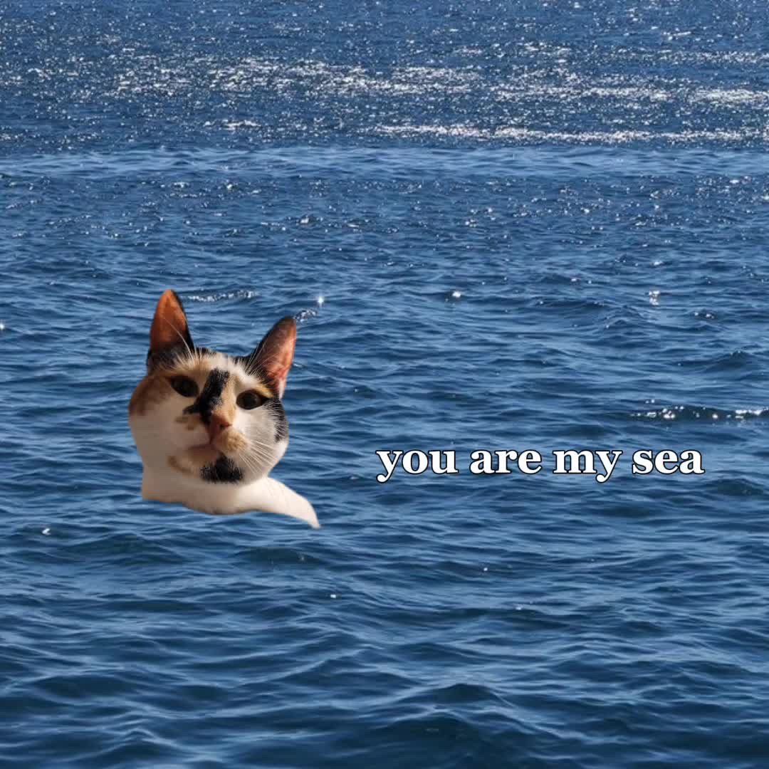 @FishyFishy