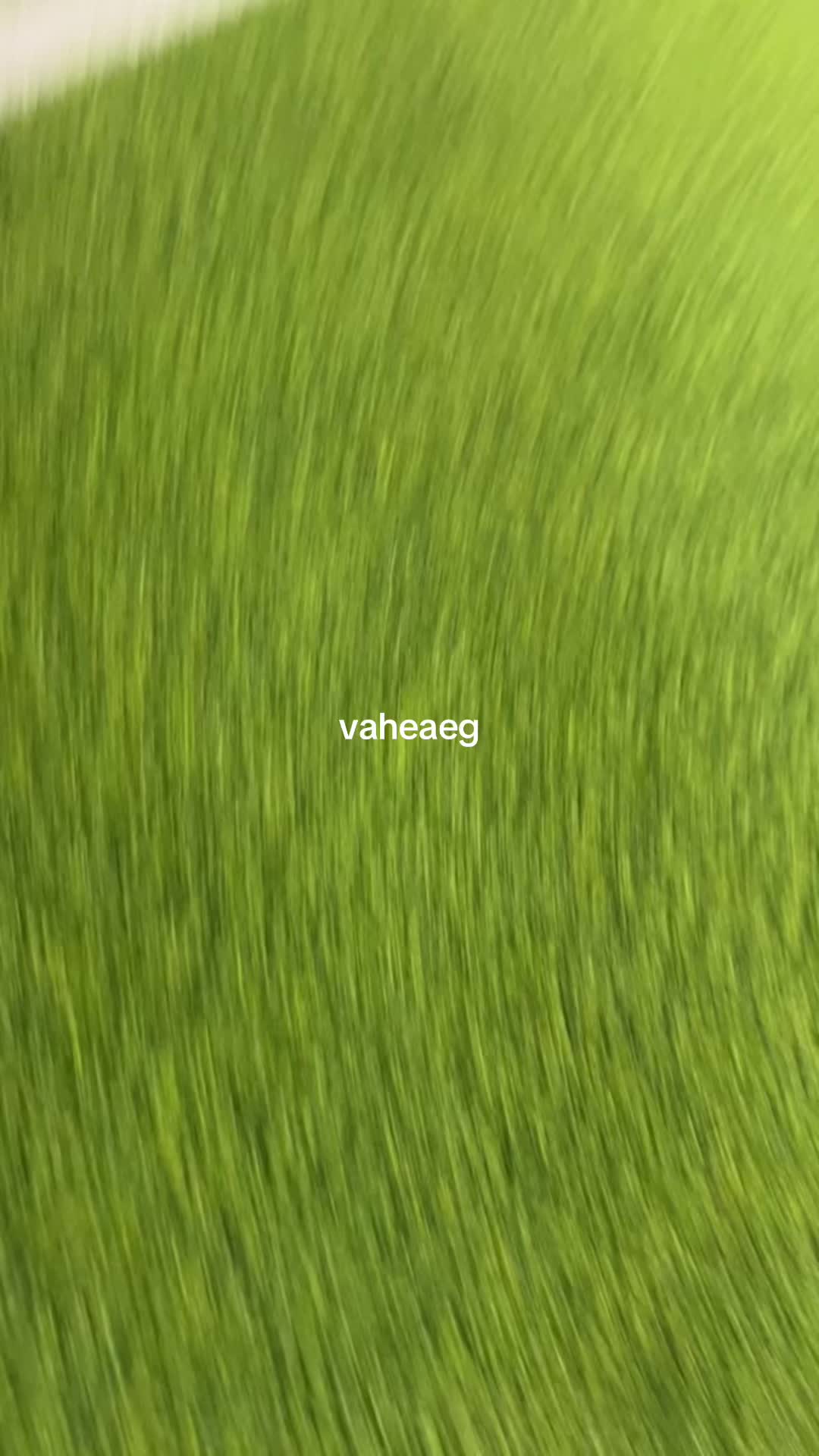 @mirjam