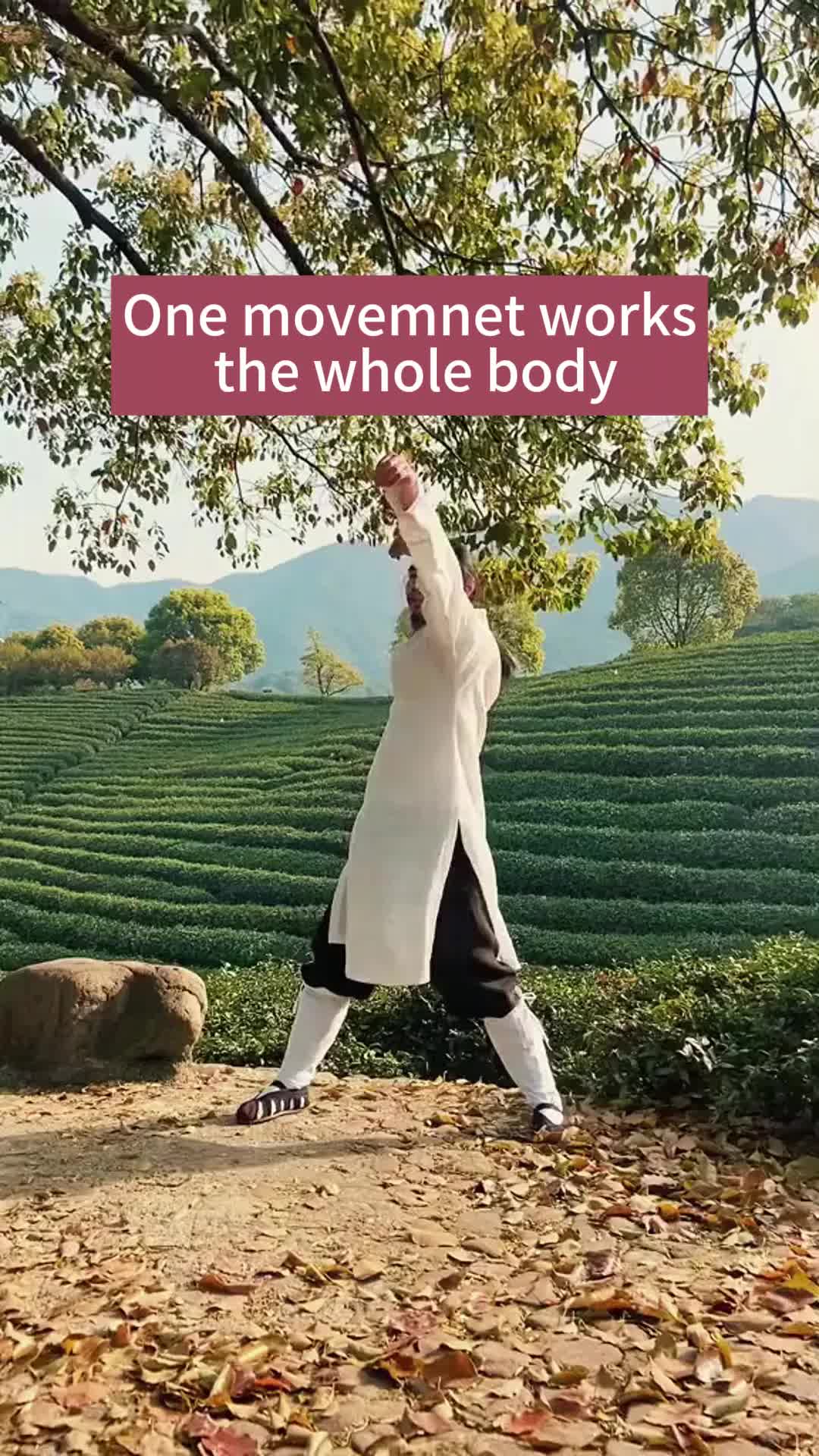 @roosecloud_us