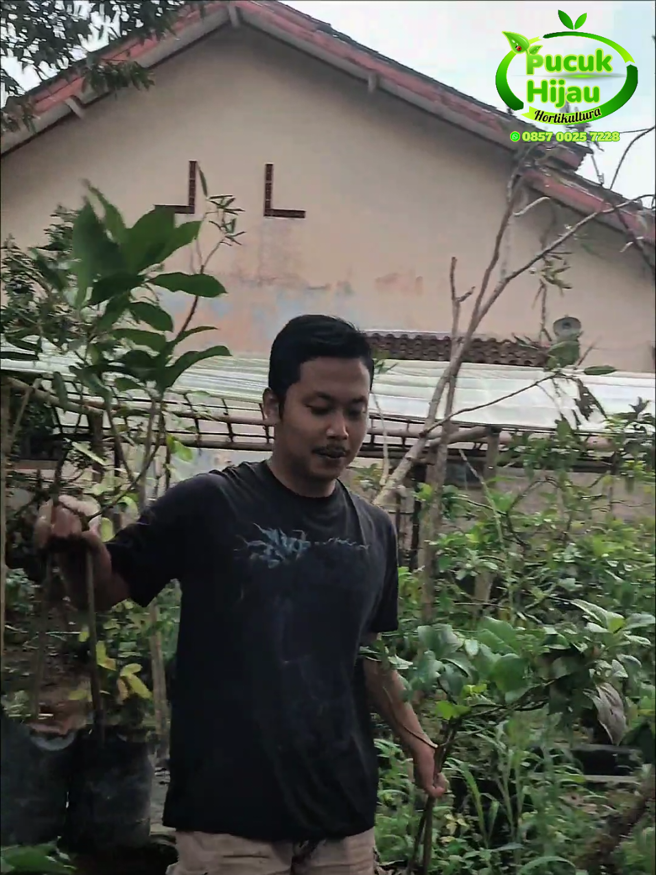 @PUCUK HIJAU🌿