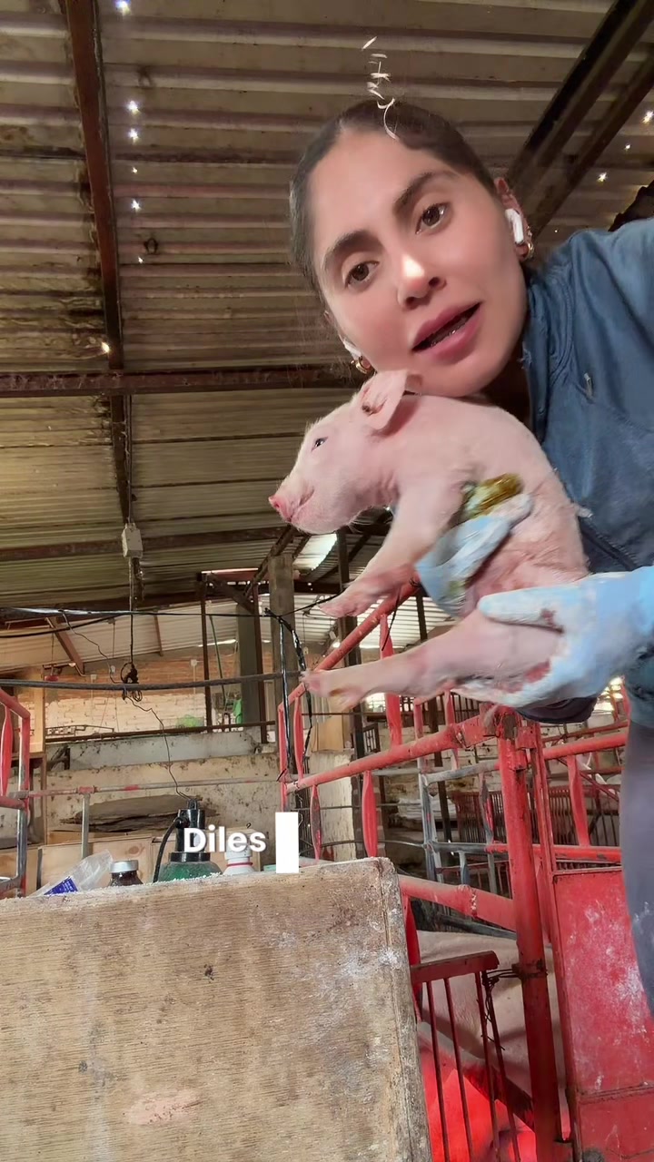 @Magaa 🫰🏻