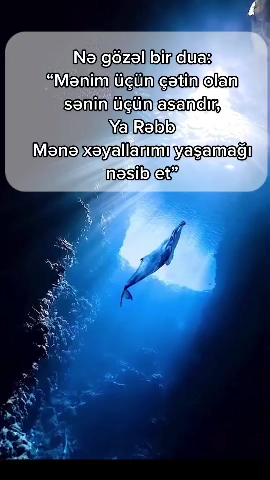 @Nur Şahgəldi