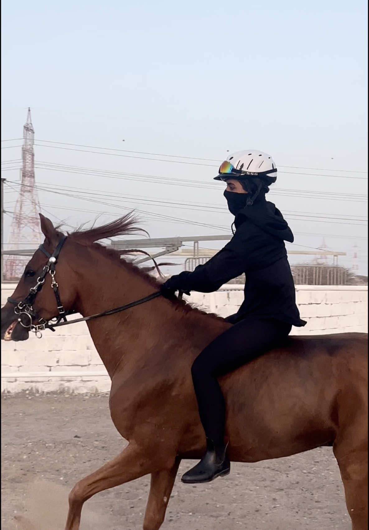 @7m.eq1