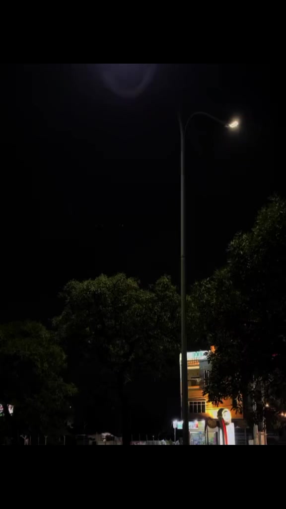 @𝐀𝐃𝐈𝐓 | 𝐓'𝐖𝐑𝐆