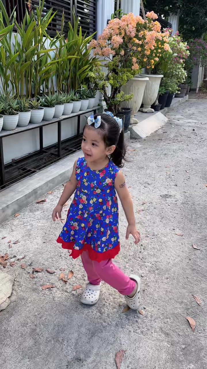 @Citra collection 89