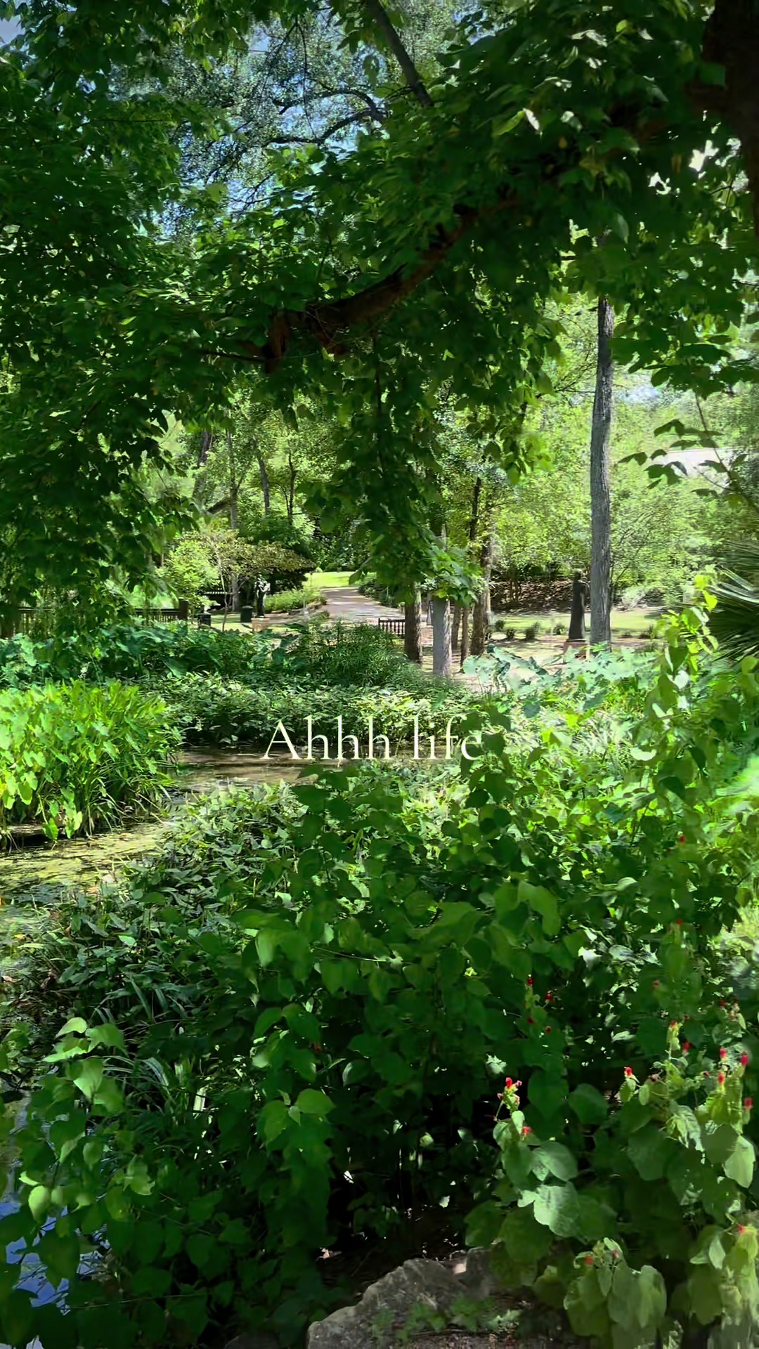 @𝐚𝐩𝐫𝐢𝐥༊·˚